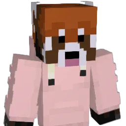 FloobyPawLaw Minecraft avatar bust