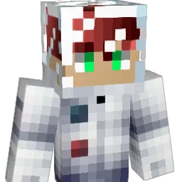 Florent3605 Minecraft avatar bust