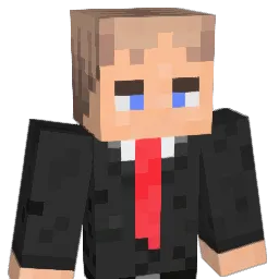 Florian_W100 Minecraft avatar bust