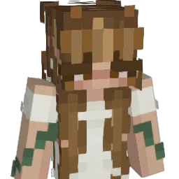 FlorinCo Minecraft avatar bust
