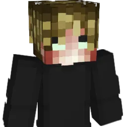 FlounderTeq Minecraft avatar bust
