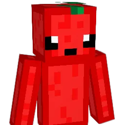 FlowXI Minecraft avatar bust