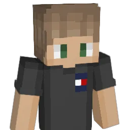 Floxh Minecraft avatar bust