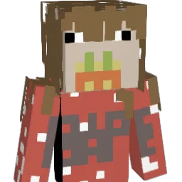 FloydsDUI69 Minecraft avatar bust