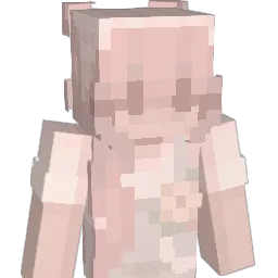 FluffyDuck57311 Minecraft avatar bust