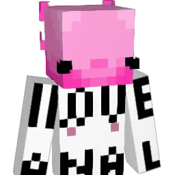 FlyNNLotl
