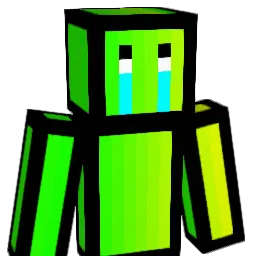 FlyYuanbao123 Minecraft avatar bust