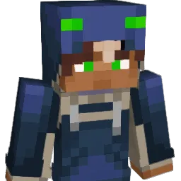 Flyallnp's Minecraft skin