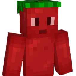 FlyingTomato46 Minecraft avatar bust