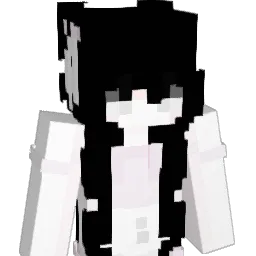 Flying_Fantasy Minecraft avatar bust