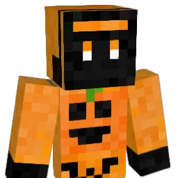 Flying_W Minecraft avatar bust