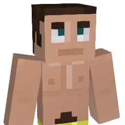 Flyx Minecraft avatar bust