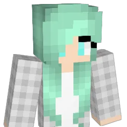 Fmwahid2001 Minecraft avatar bust