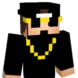 Fn_STunZz Minecraft avatar bust