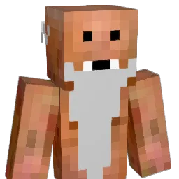 Foitek Minecraft avatar bust