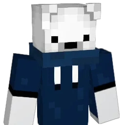 FollowAerumeYT Minecraft avatar bust