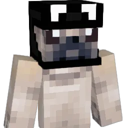FoolishXh's Minecraft skin