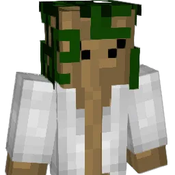 Forces112 Minecraft avatar bust