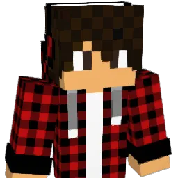 Ford_Gaming Minecraft avatar bust