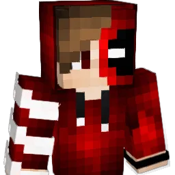 Forein Minecraft avatar bust