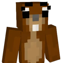 Forever_Sunshine Minecraft avatar bust