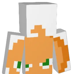 Forrest165 Minecraft avatar bust