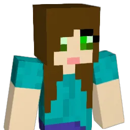 Forza13 Minecraft avatar bust
