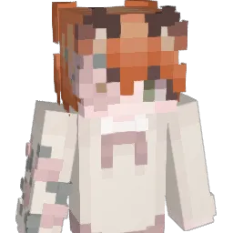 FoxBinnn Minecraft avatar bust