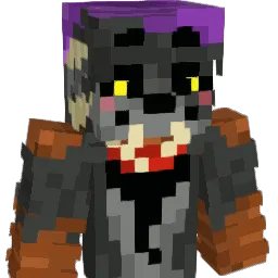 FoxC333
