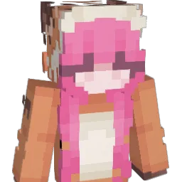 Fox_Devaluation Minecraft avatar bust