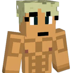 Foxidox222 Minecraft avatar bust