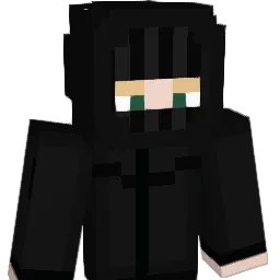 FoxyGamer79yt Minecraft avatar bust