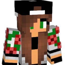 Franc03 Minecraft avatar bust