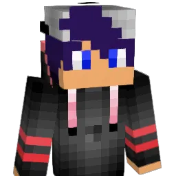 Franciszek1 Minecraft avatar bust