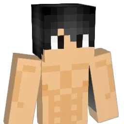 Franco310 Minecraft avatar bust