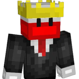 Franek5208 Minecraft avatar bust