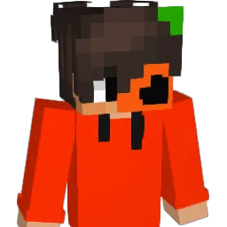 Franio2211 Minecraft avatar bust