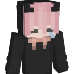 FrankLinn1121 Minecraft avatar bust