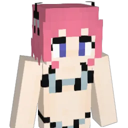 Franky71110 Minecraft avatar bust