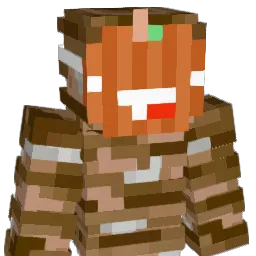 Fraszys_pl Minecraft avatar bust