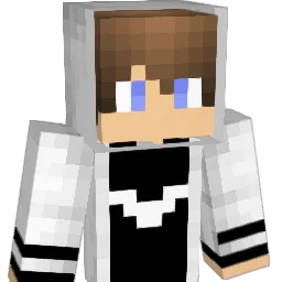FreakingNinja Minecraft avatar bust