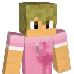 FreeSkies Minecraft avatar bust