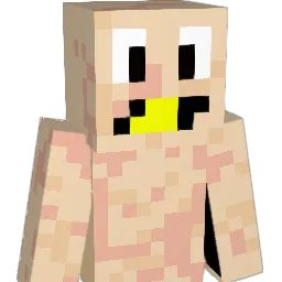 Freedn Minecraft avatar bust