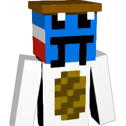 Frenchbagguette Minecraft avatar bust