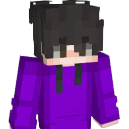 Frencis_8261 Minecraft avatar bust