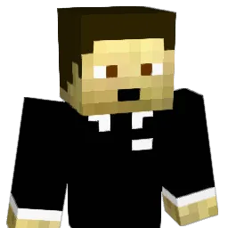 FriZouill3_alg Minecraft avatar bust