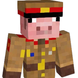 FriedGarlicSock
