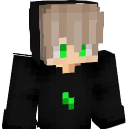 Frommii Minecraft avatar bust