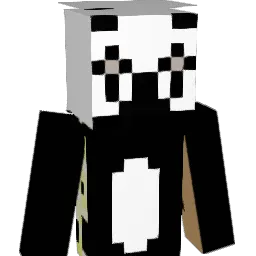 FrozenElsa5555 Minecraft avatar bust