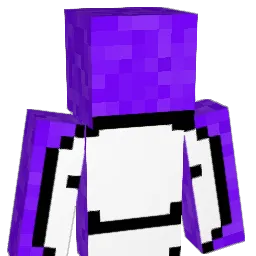 Fry2k Minecraft avatar bust